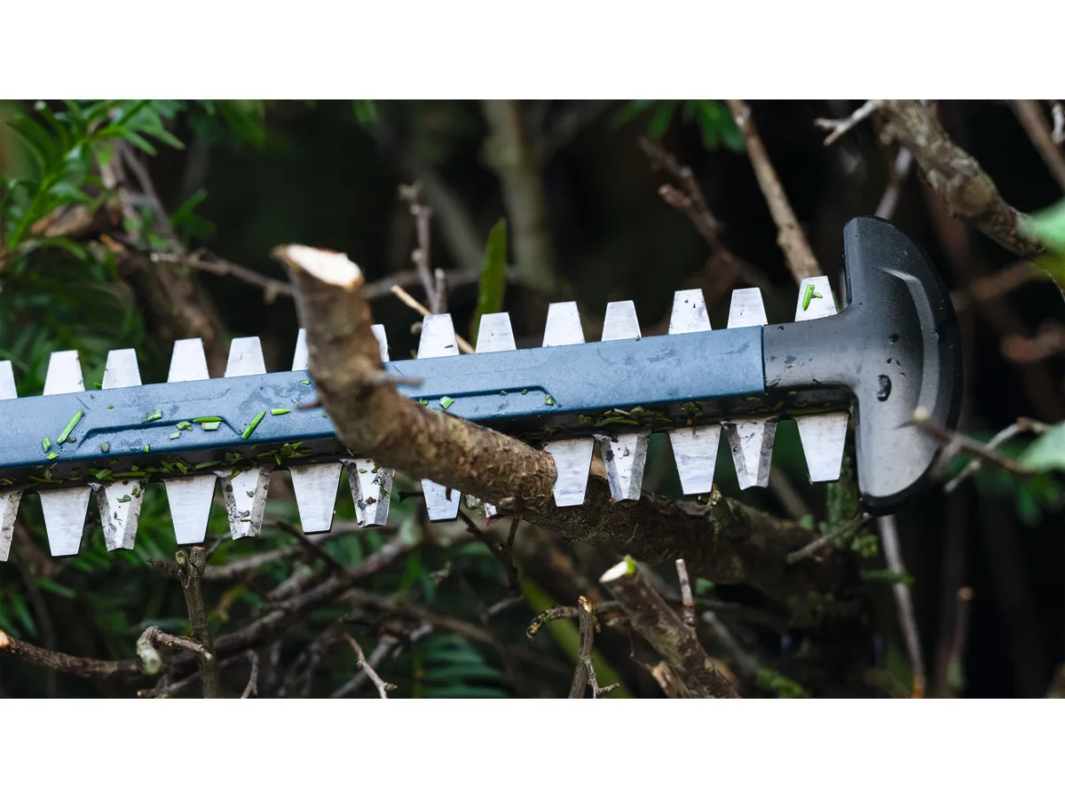 Taille-haie sans-fil GHE 18V-60 (II) Bosch solo